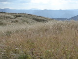 img0018.jpg