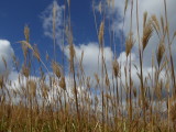 img0019.jpg