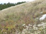 img0020.jpg