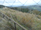 img0023.jpg