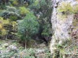 img0031.jpg
