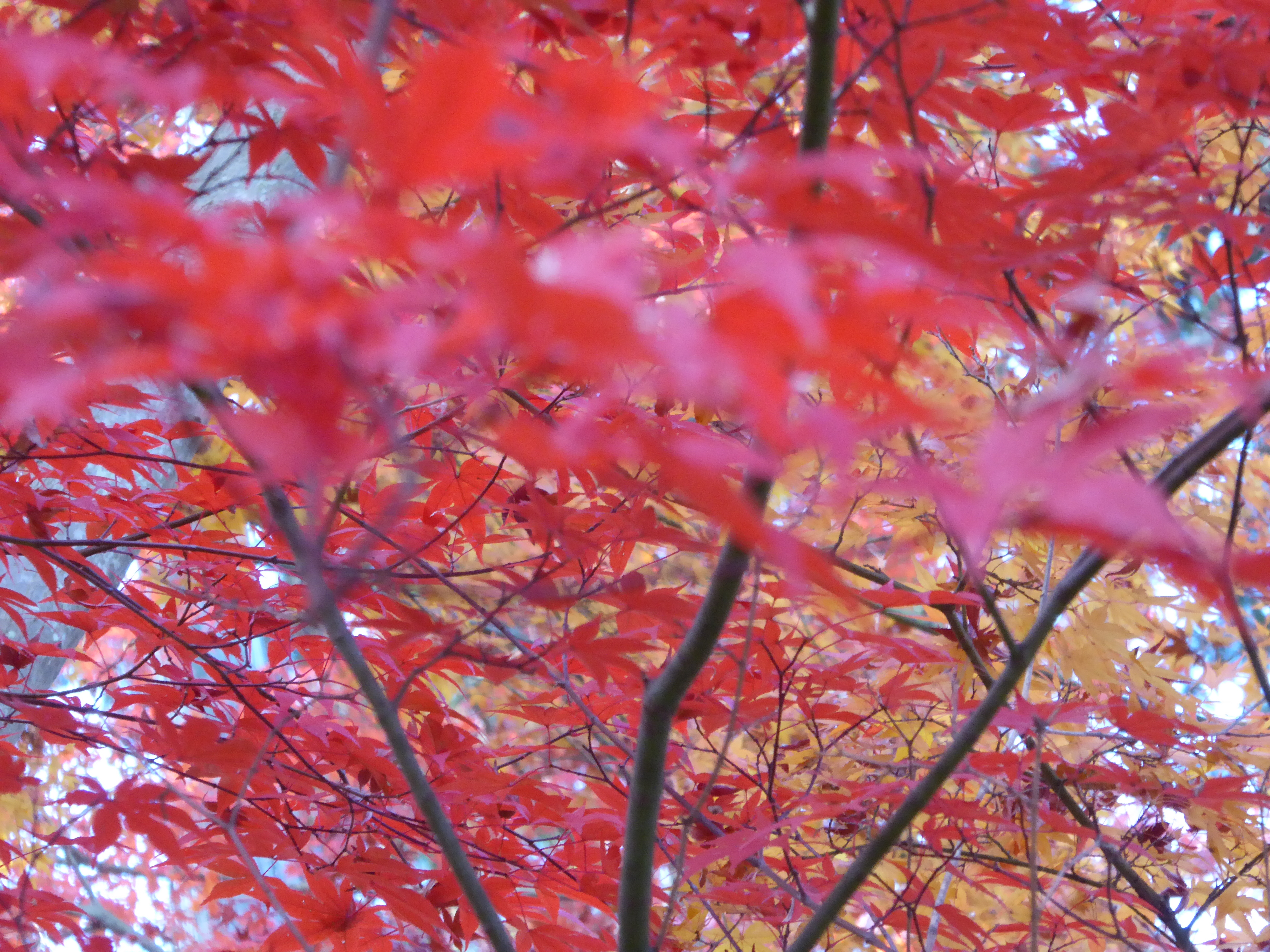 P1010106.JPG
