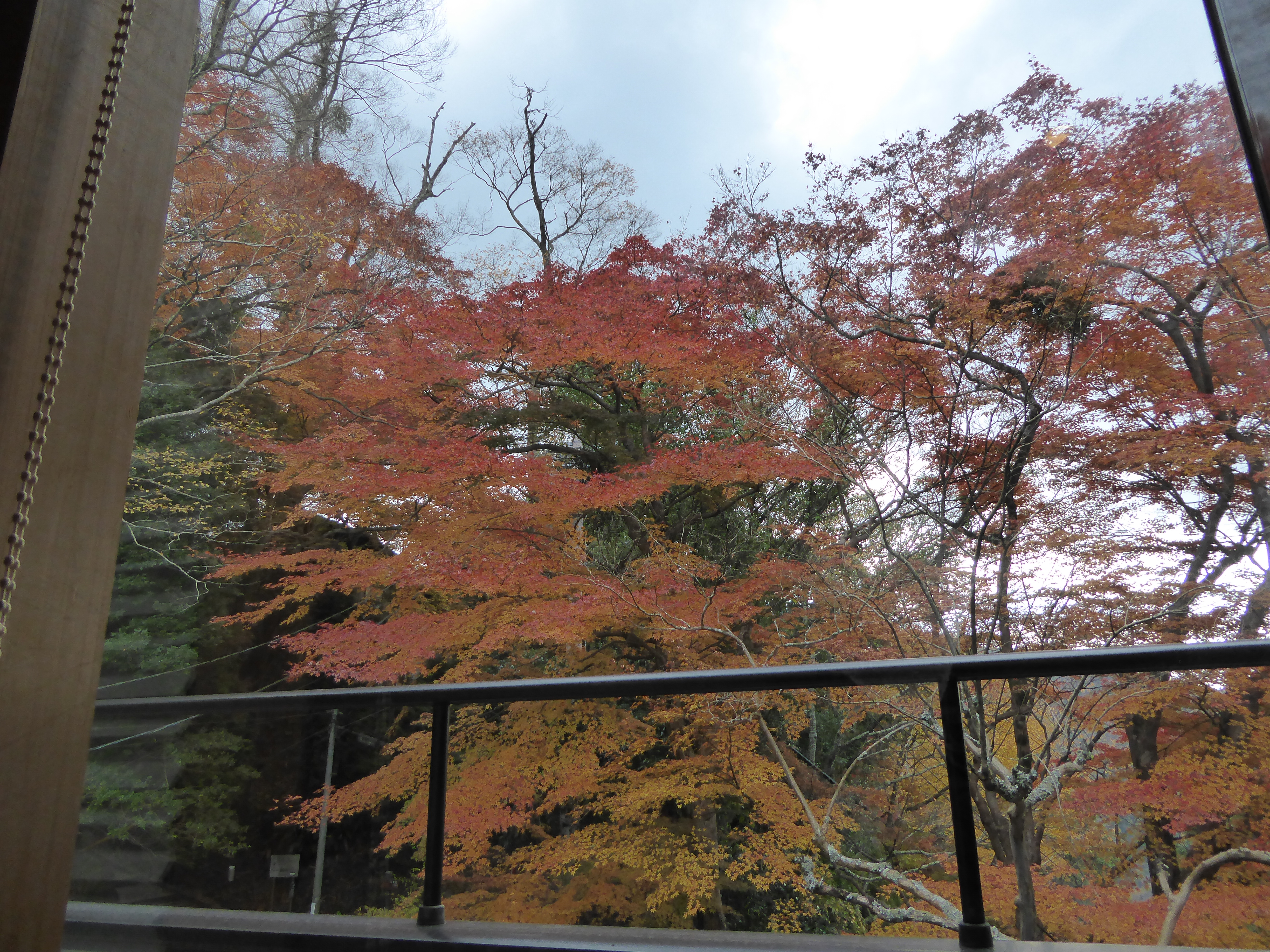 P1010137.JPG