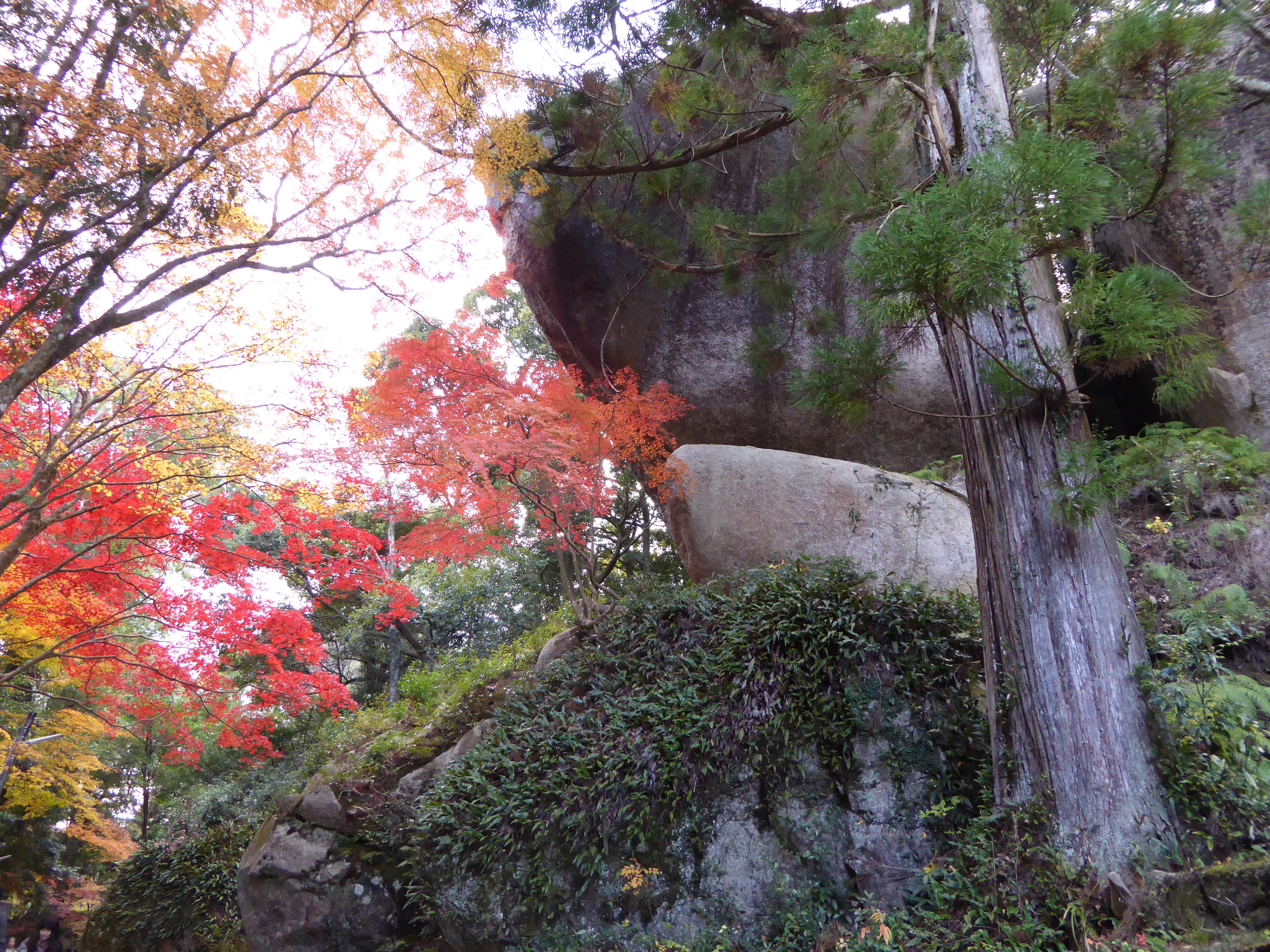 P1010142.JPG