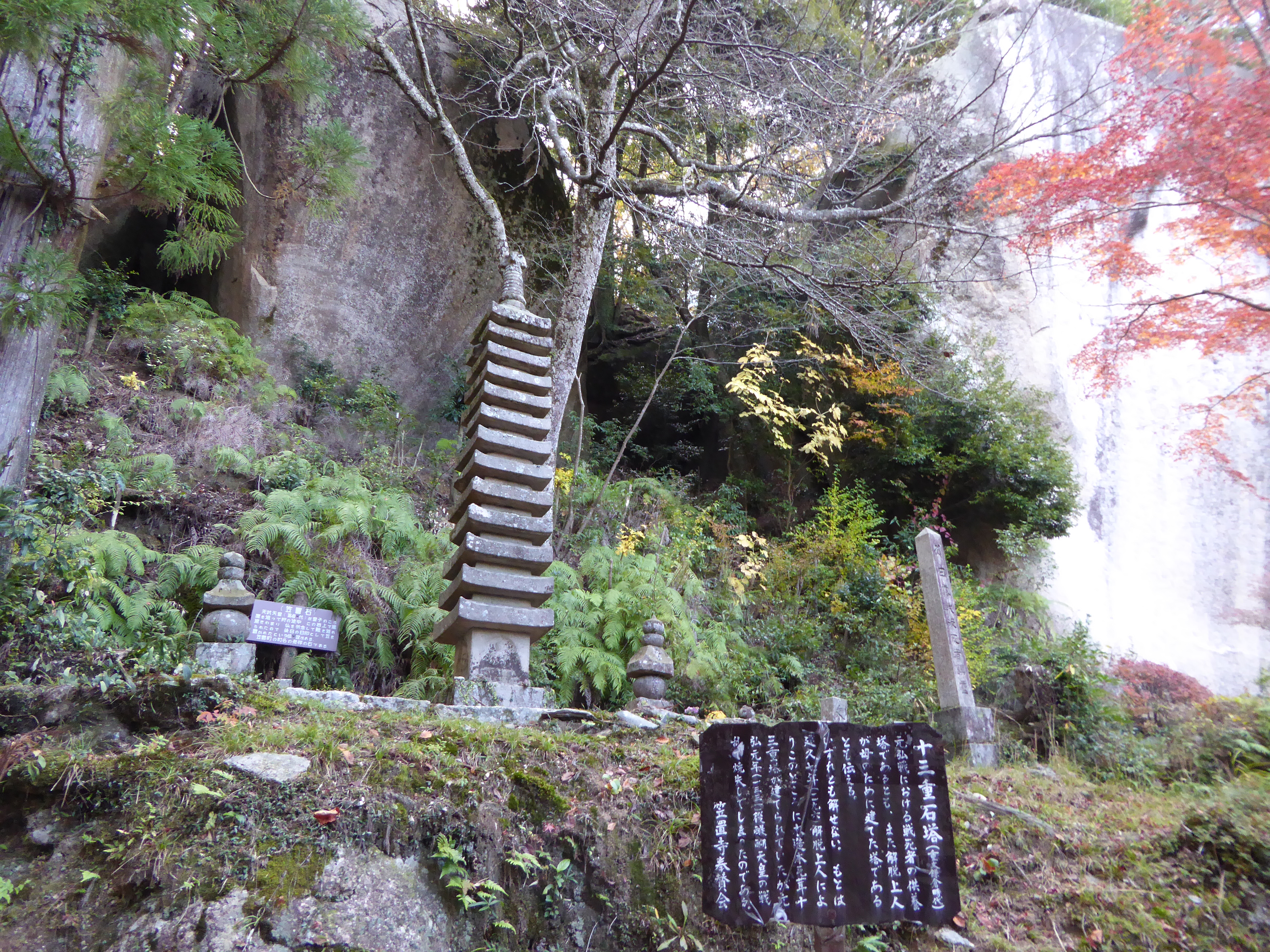P1010143.JPG