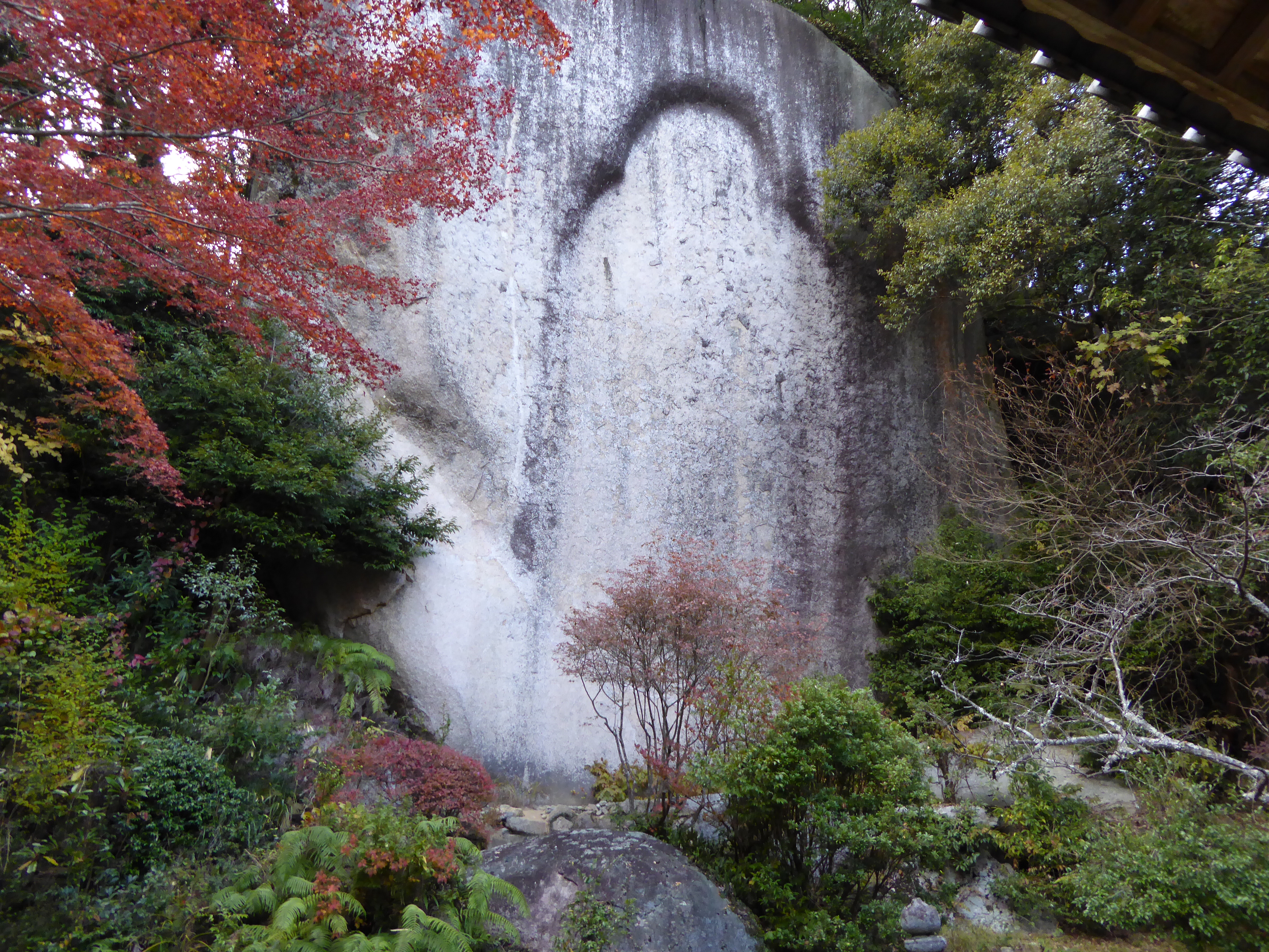 P1010144.JPG