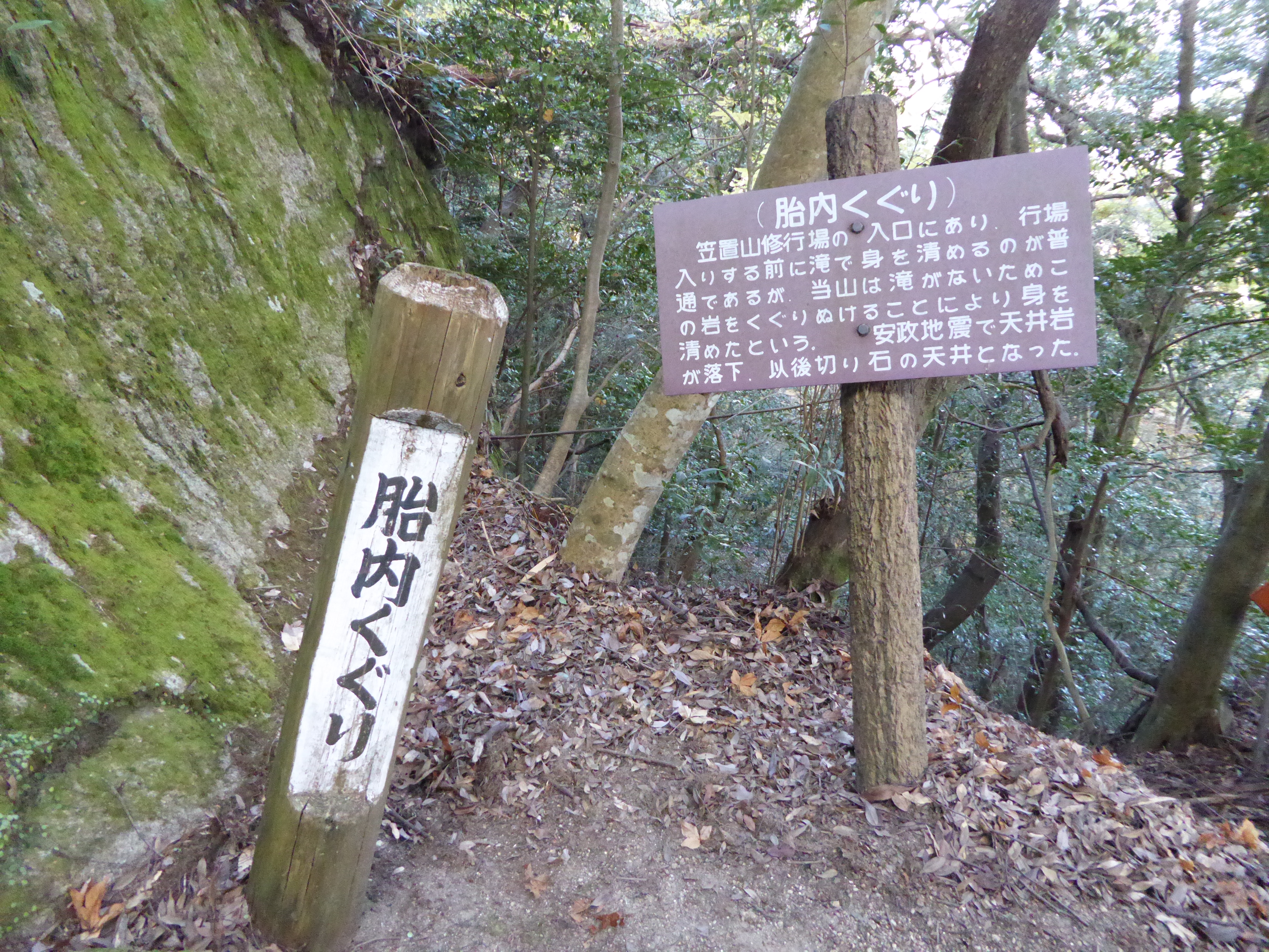 P1010156.JPG