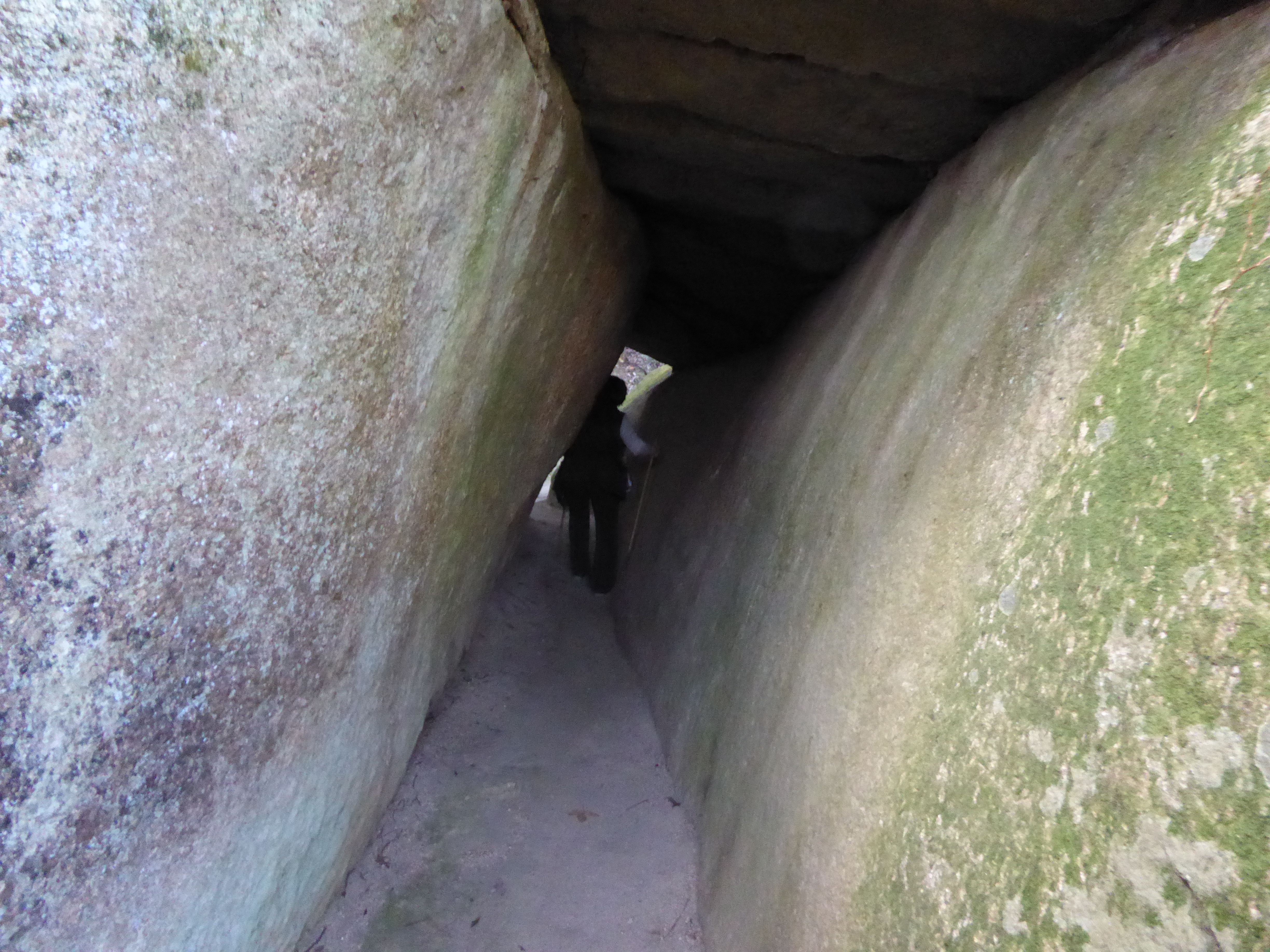 P1010157.JPG
