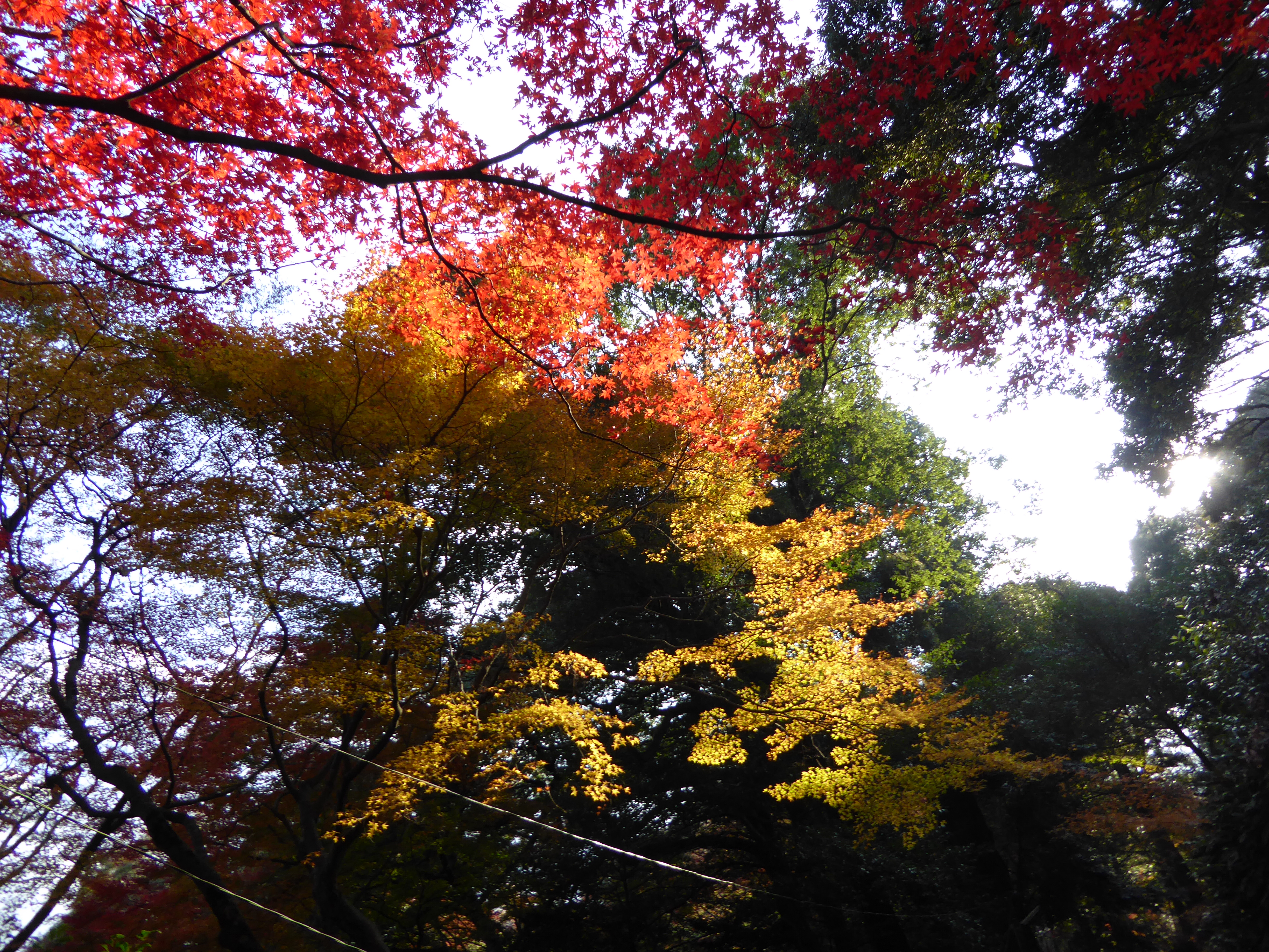 P1010159.JPG