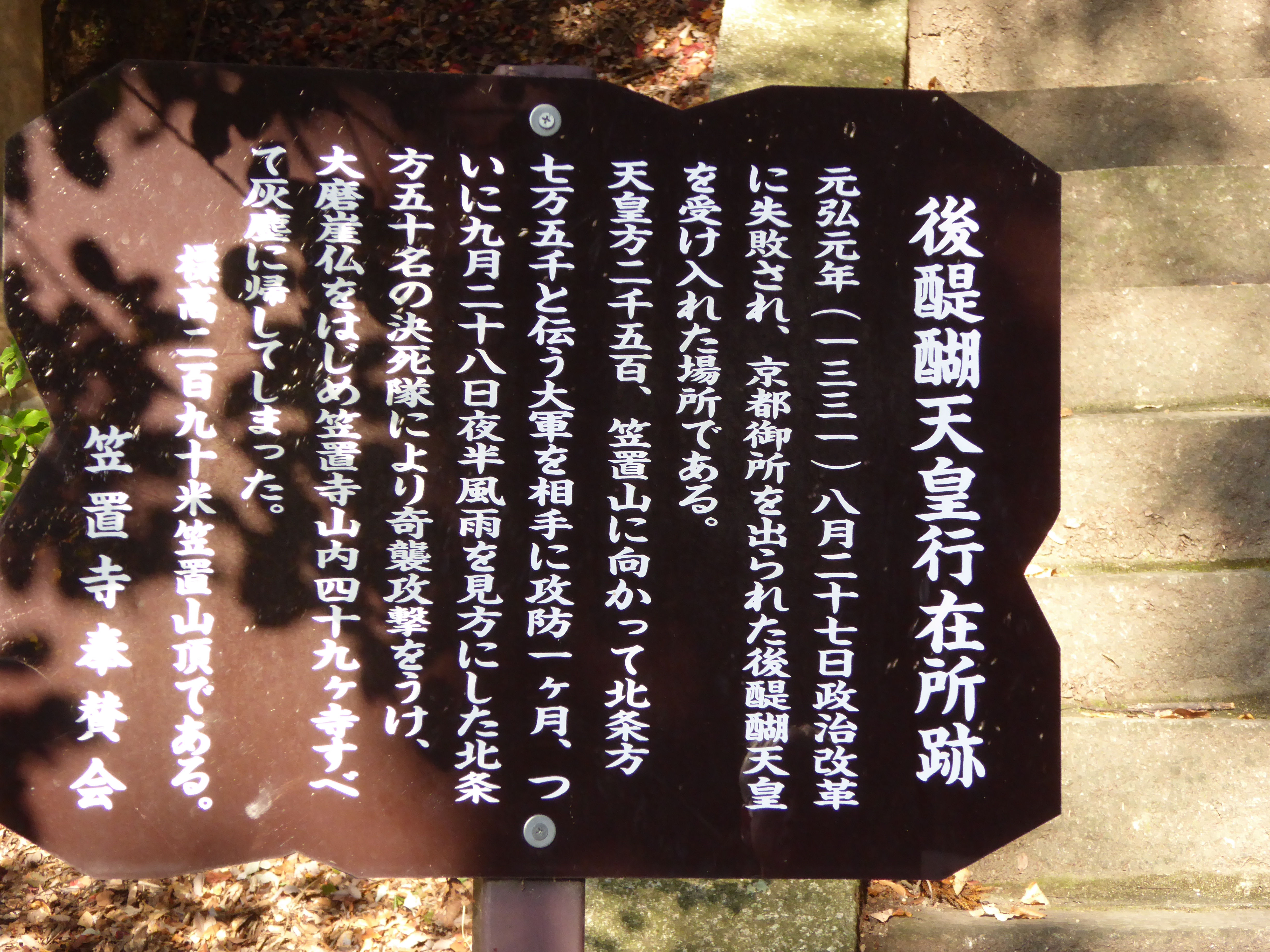 P1010160.JPG