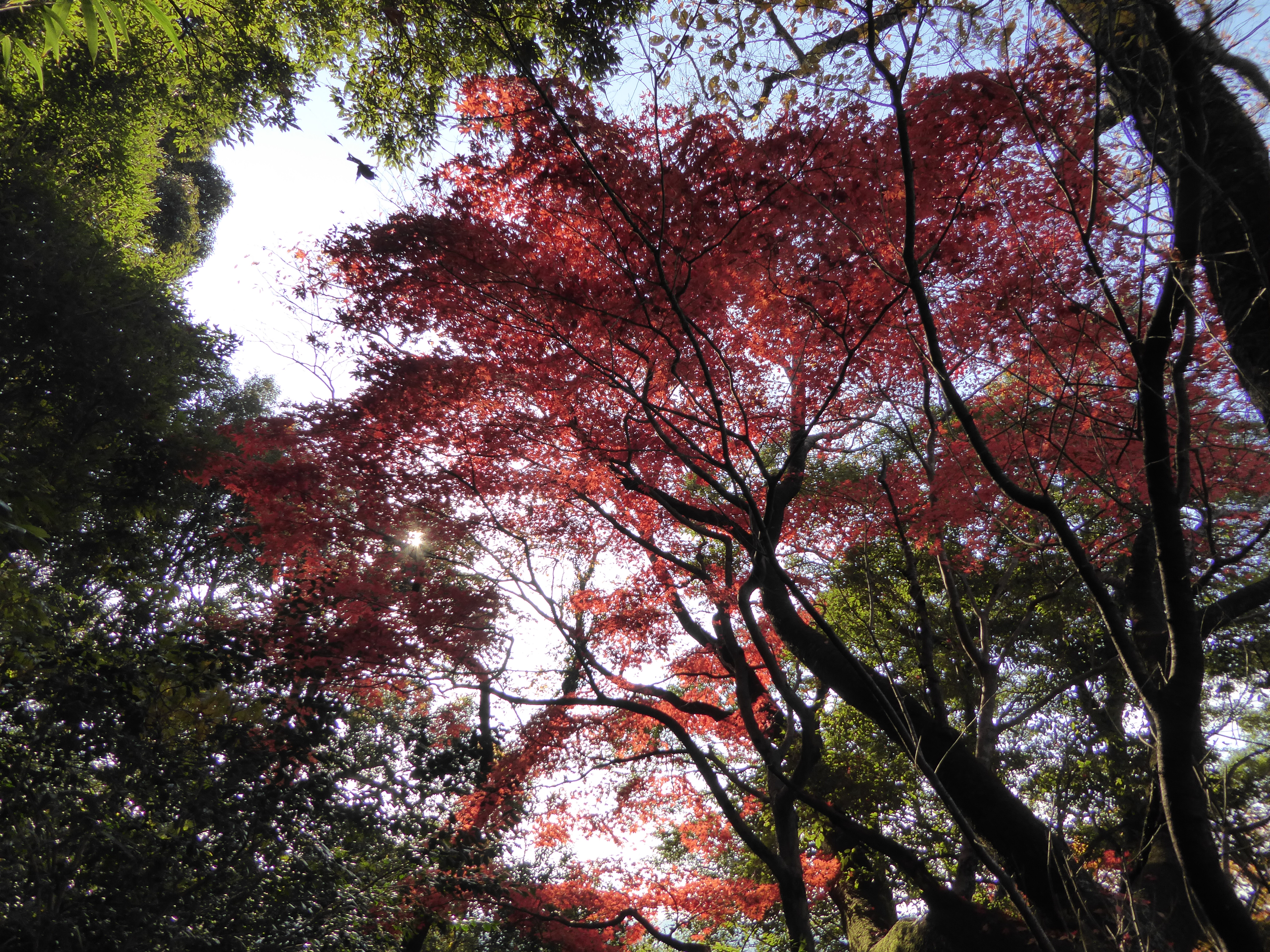 P1010164.JPG