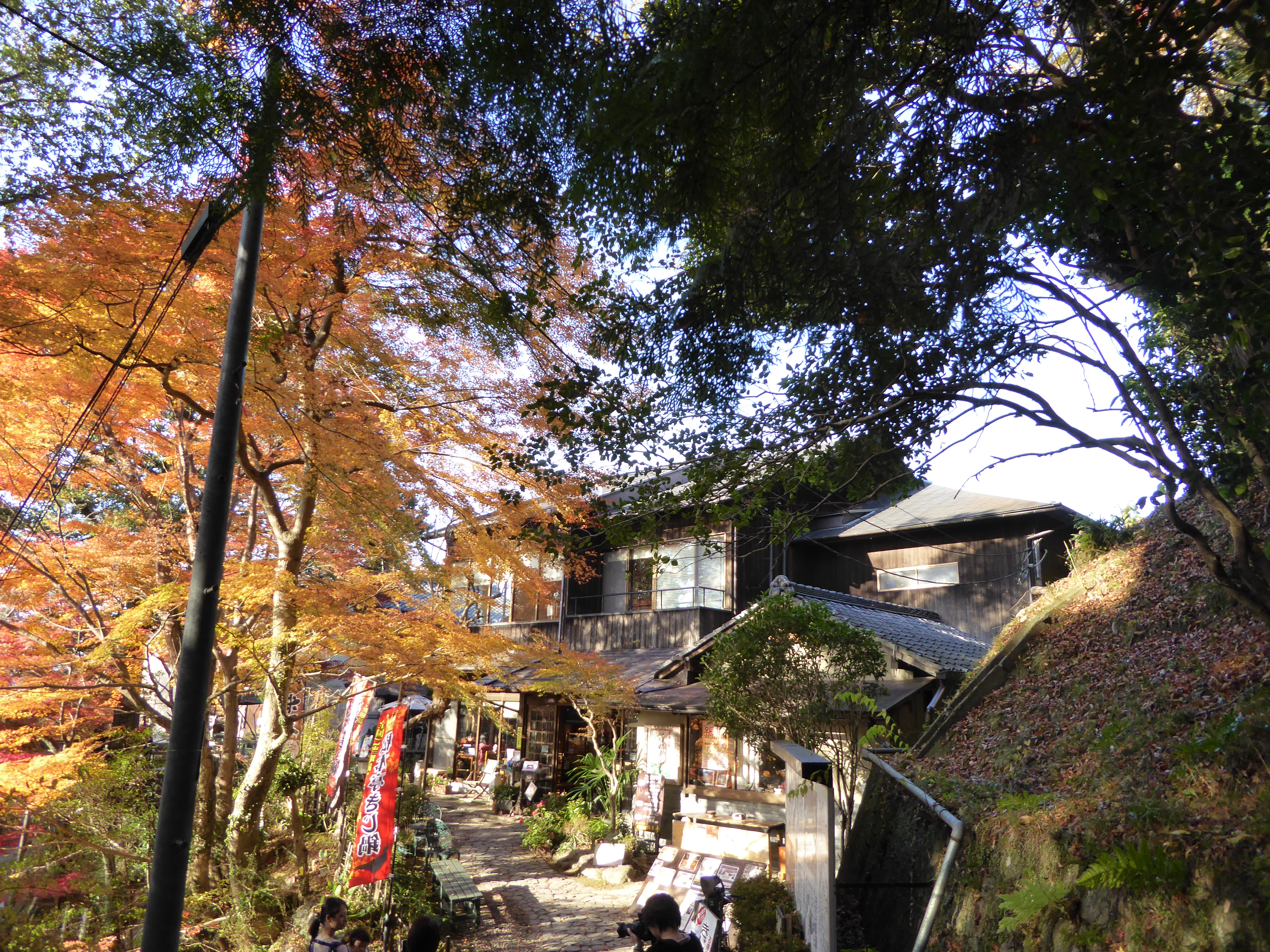 P1010166.JPG