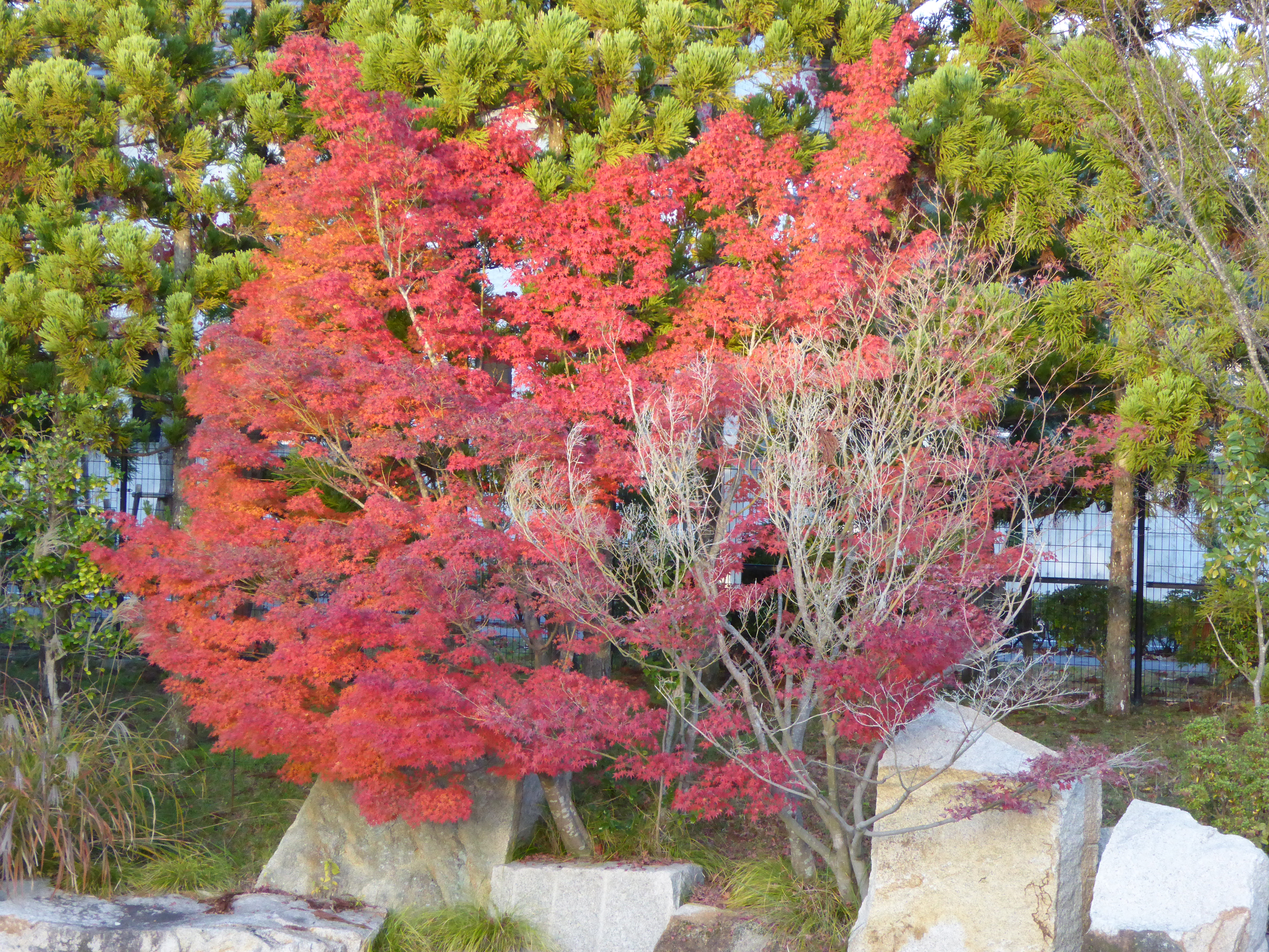P1010168.JPG