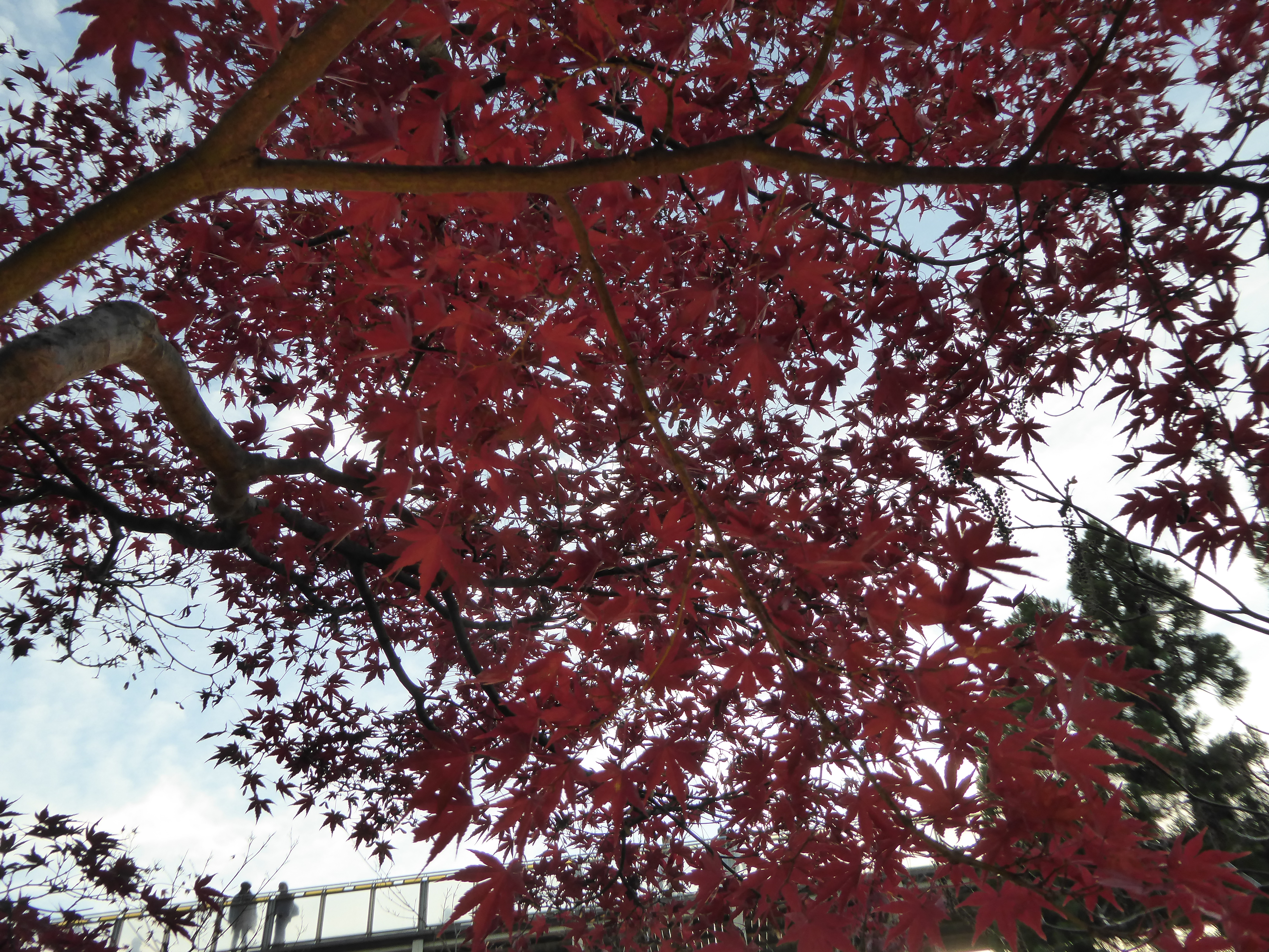 P1010176.JPG