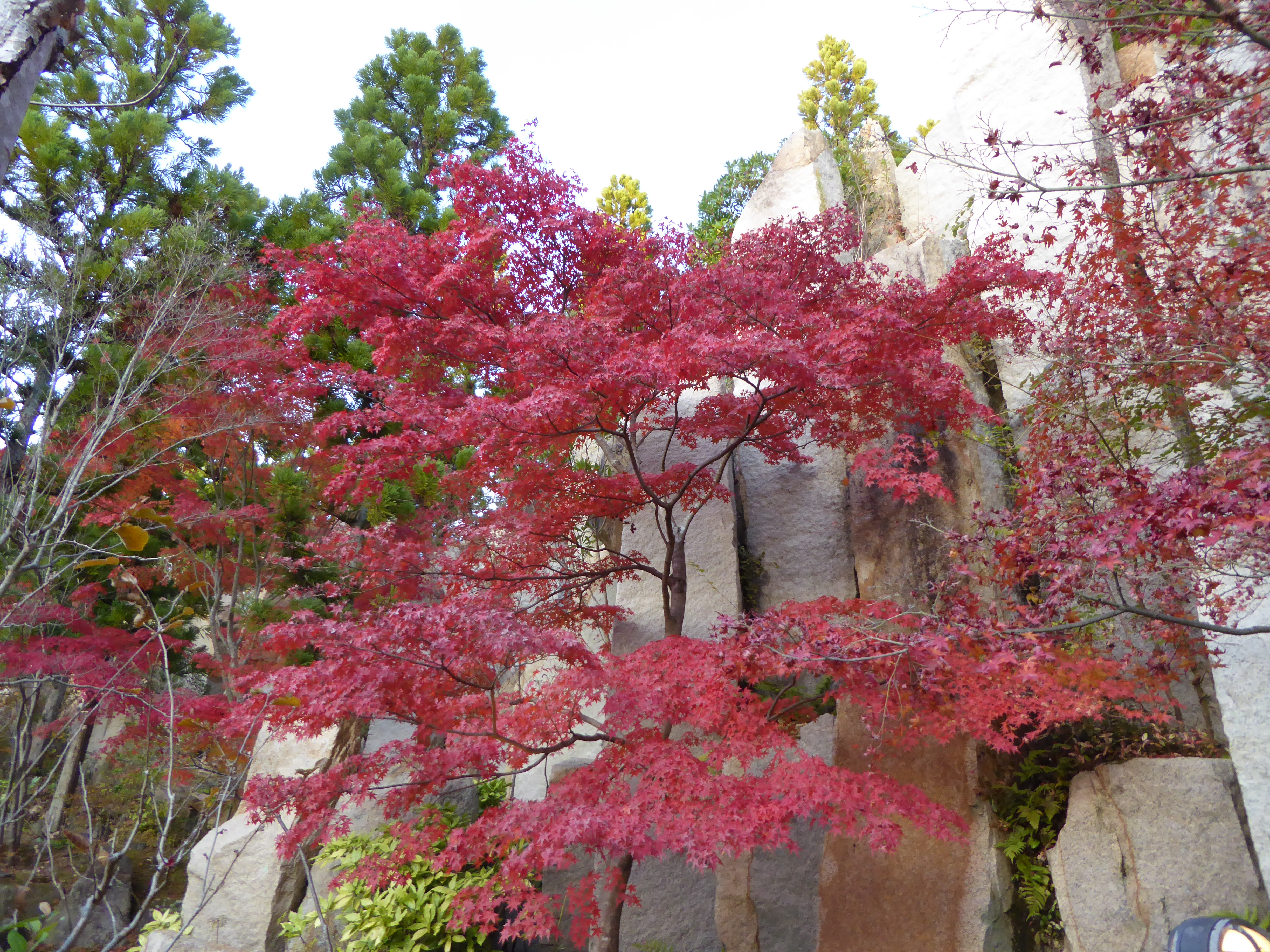 P1010177.JPG