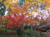 img0003.jpg
