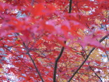 img0010.jpg