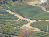 img0014.jpg