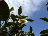 img0020.jpg