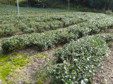 img0022.jpg