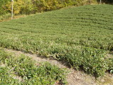 img0023.jpg