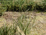img0024.jpg