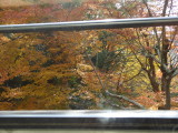 img0031.jpg