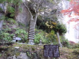 img0047.jpg
