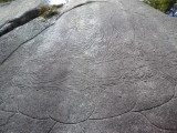 img0058.jpg