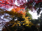 img0062.jpg