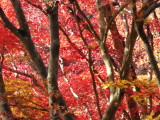 img0066.jpg