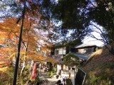 img0069.jpg