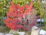 img0071.jpg