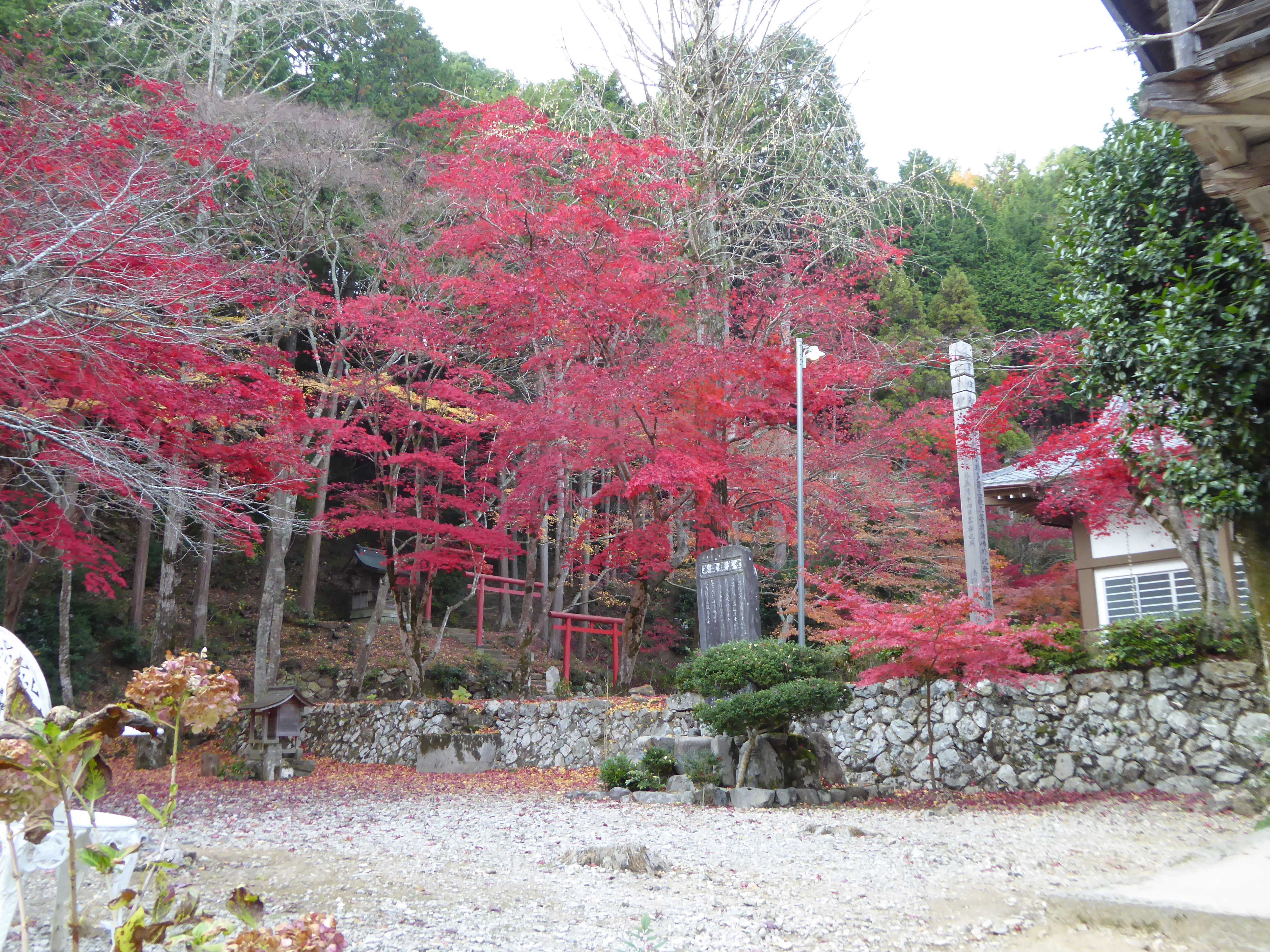 P1010185.JPG