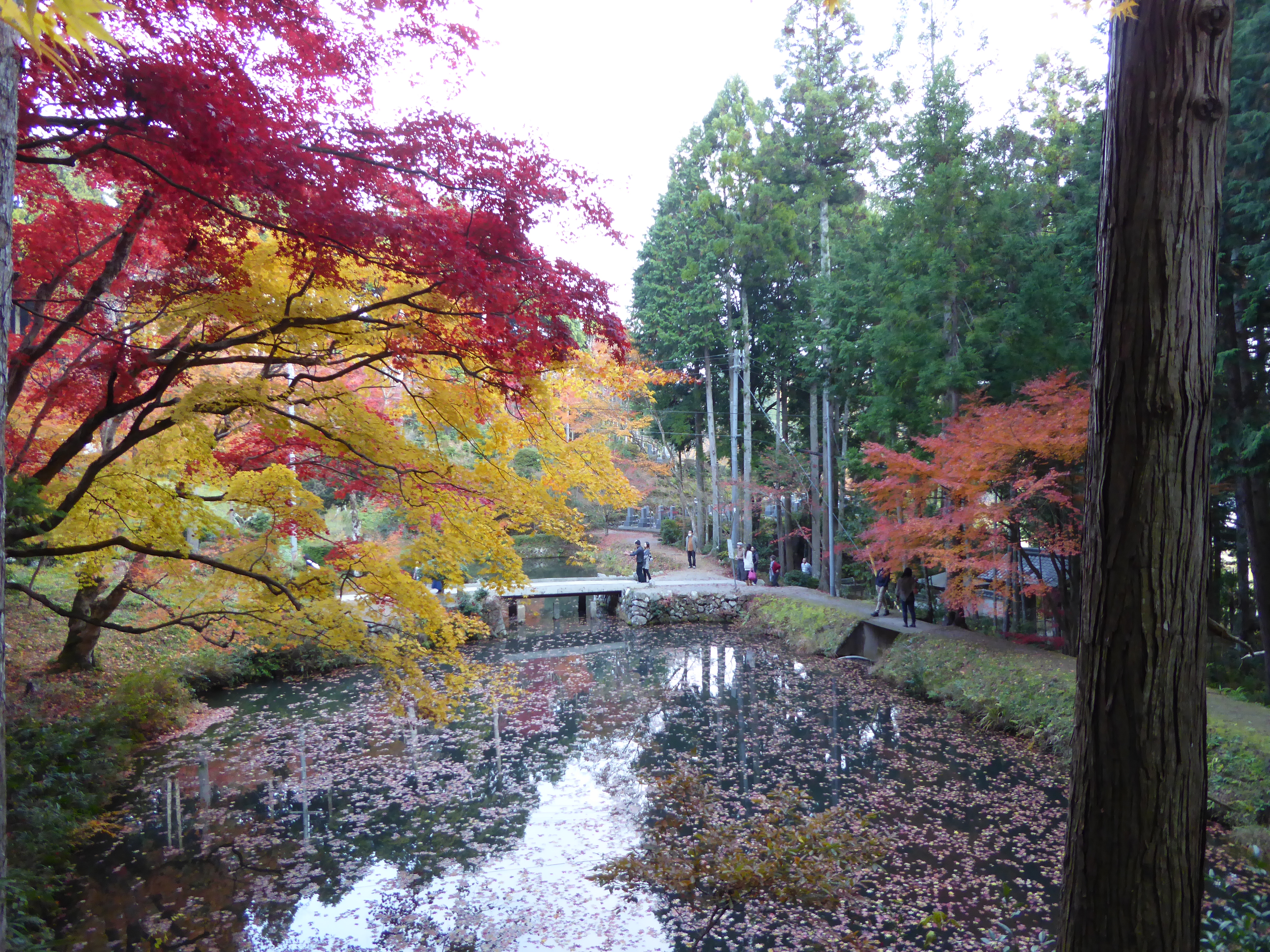P1010187.JPG