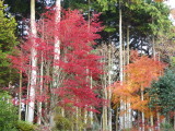 img0000.jpg