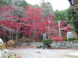 img0002.jpg