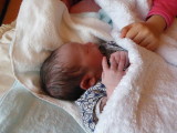 img0020.jpg
