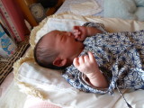 img0000.jpg