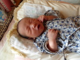 img0001.jpg