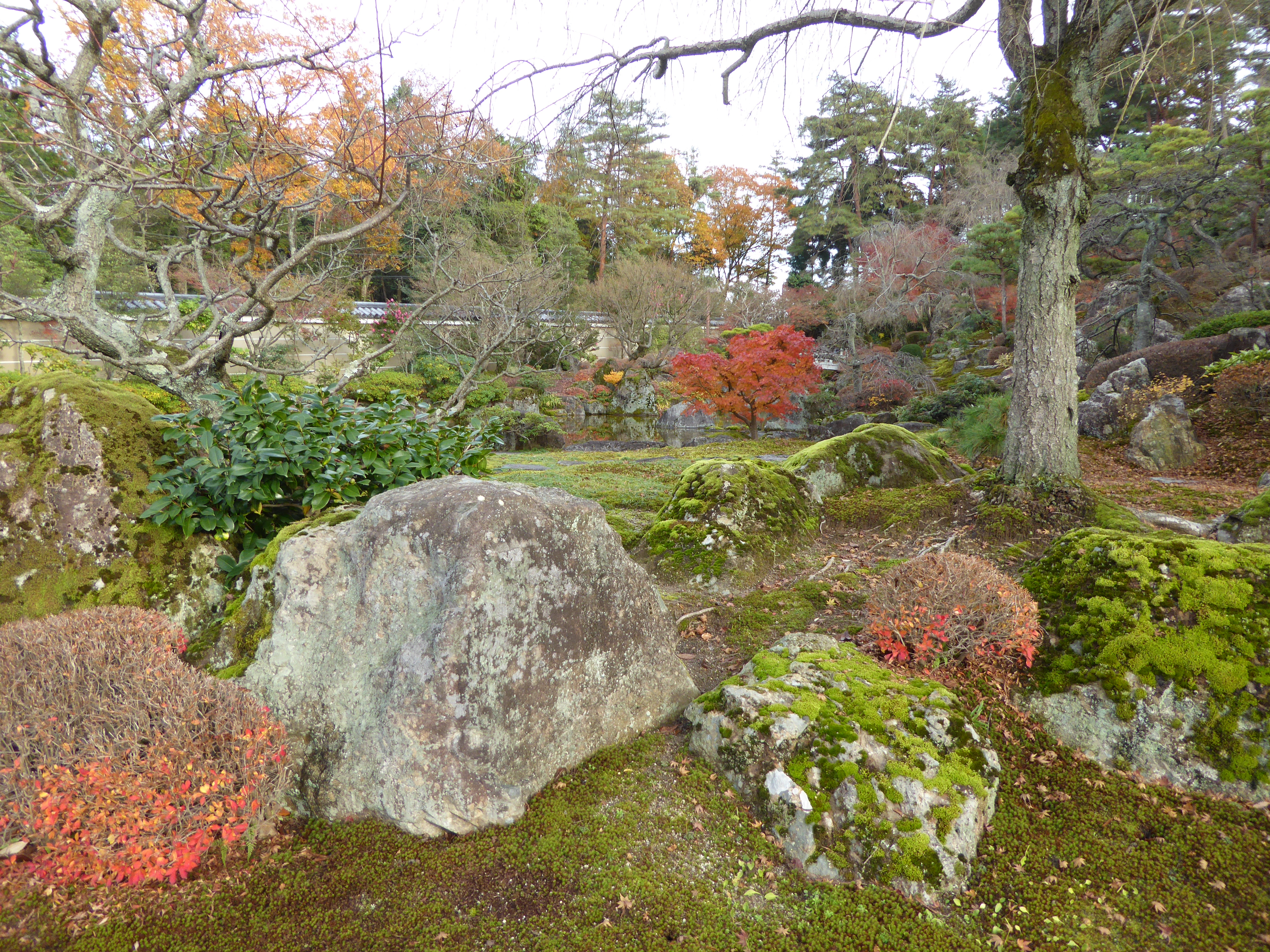 P1010240.JPG