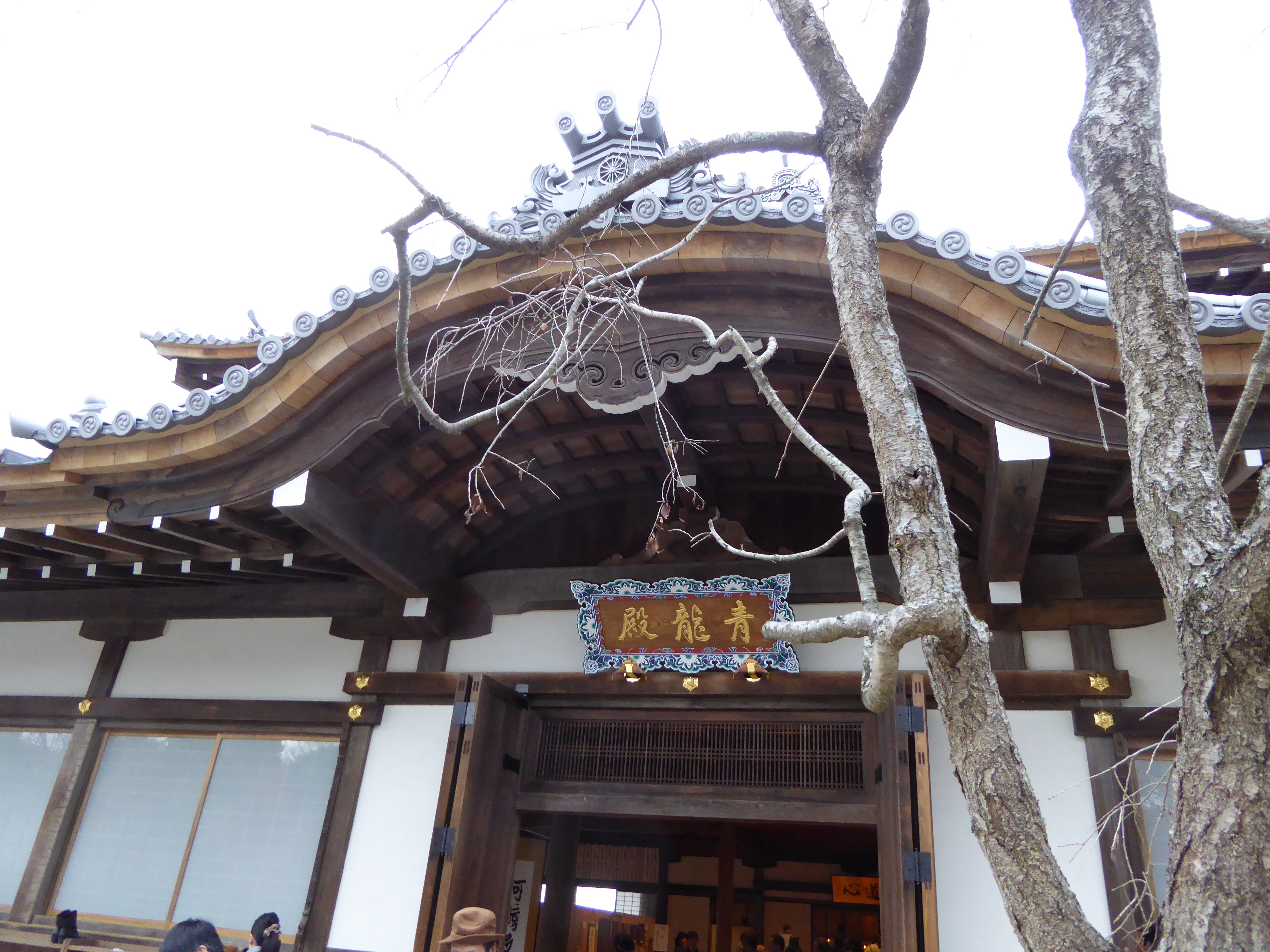 P1010244.JPG