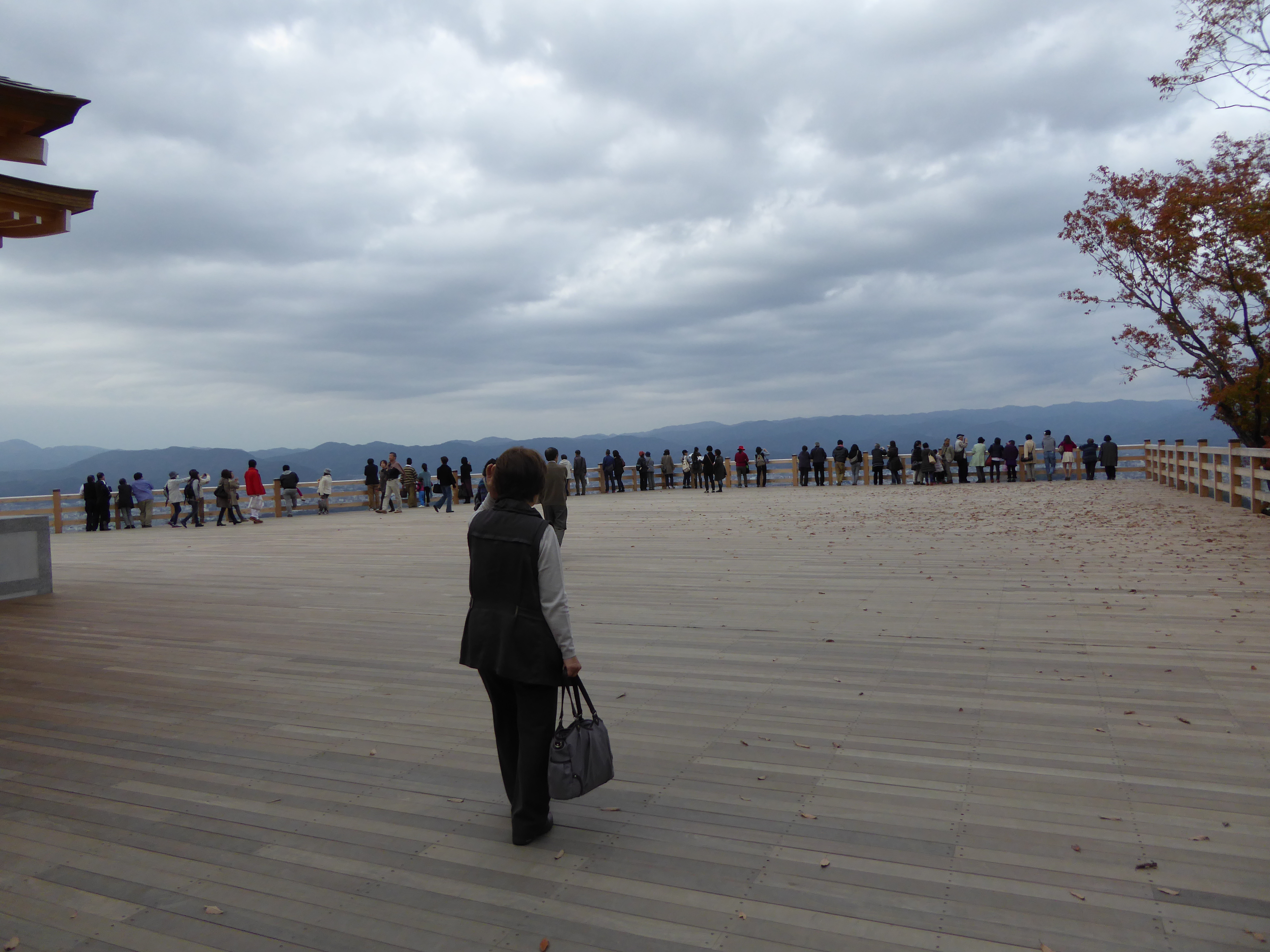 P1010246.JPG