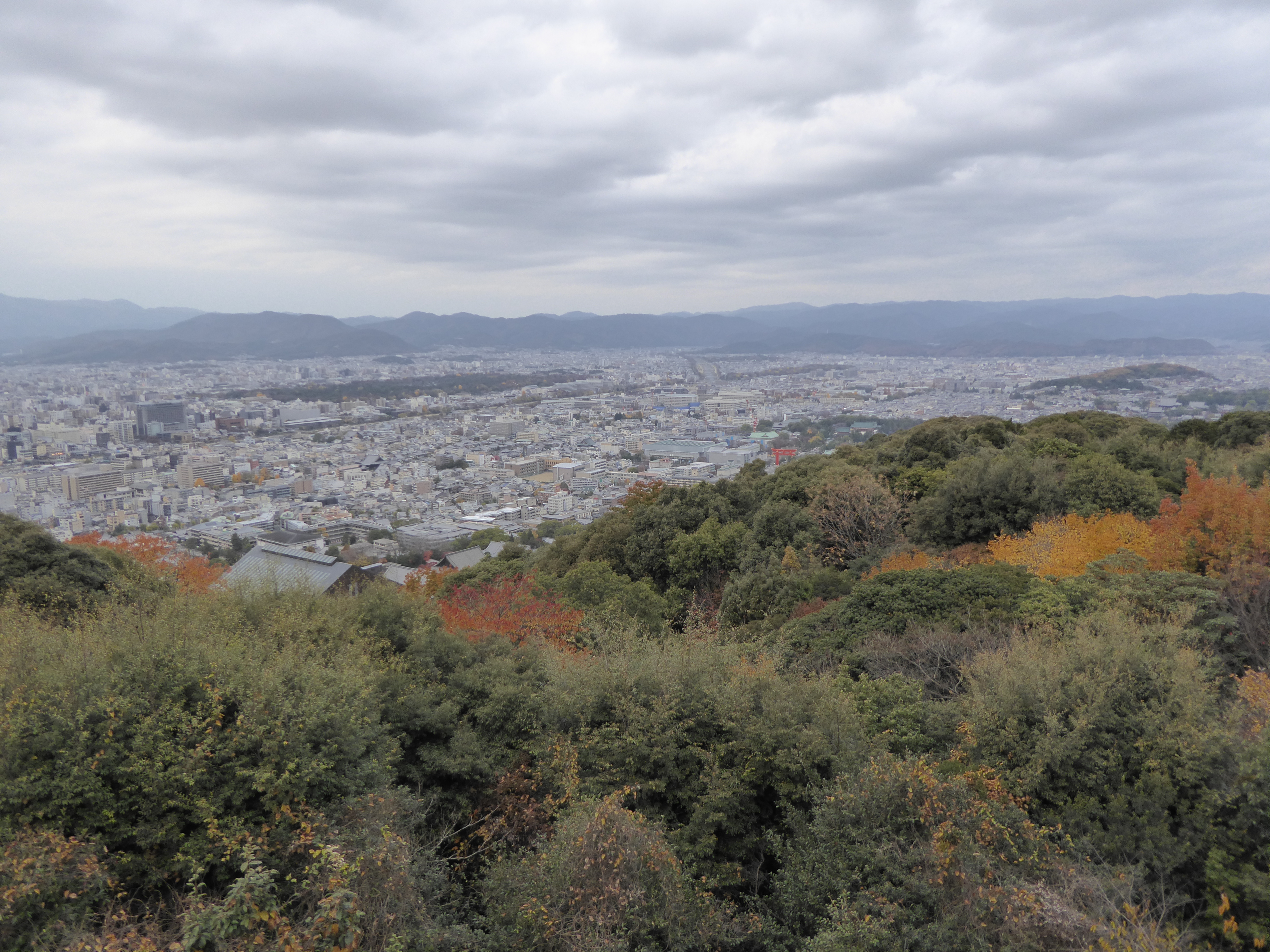 P1010247.JPG