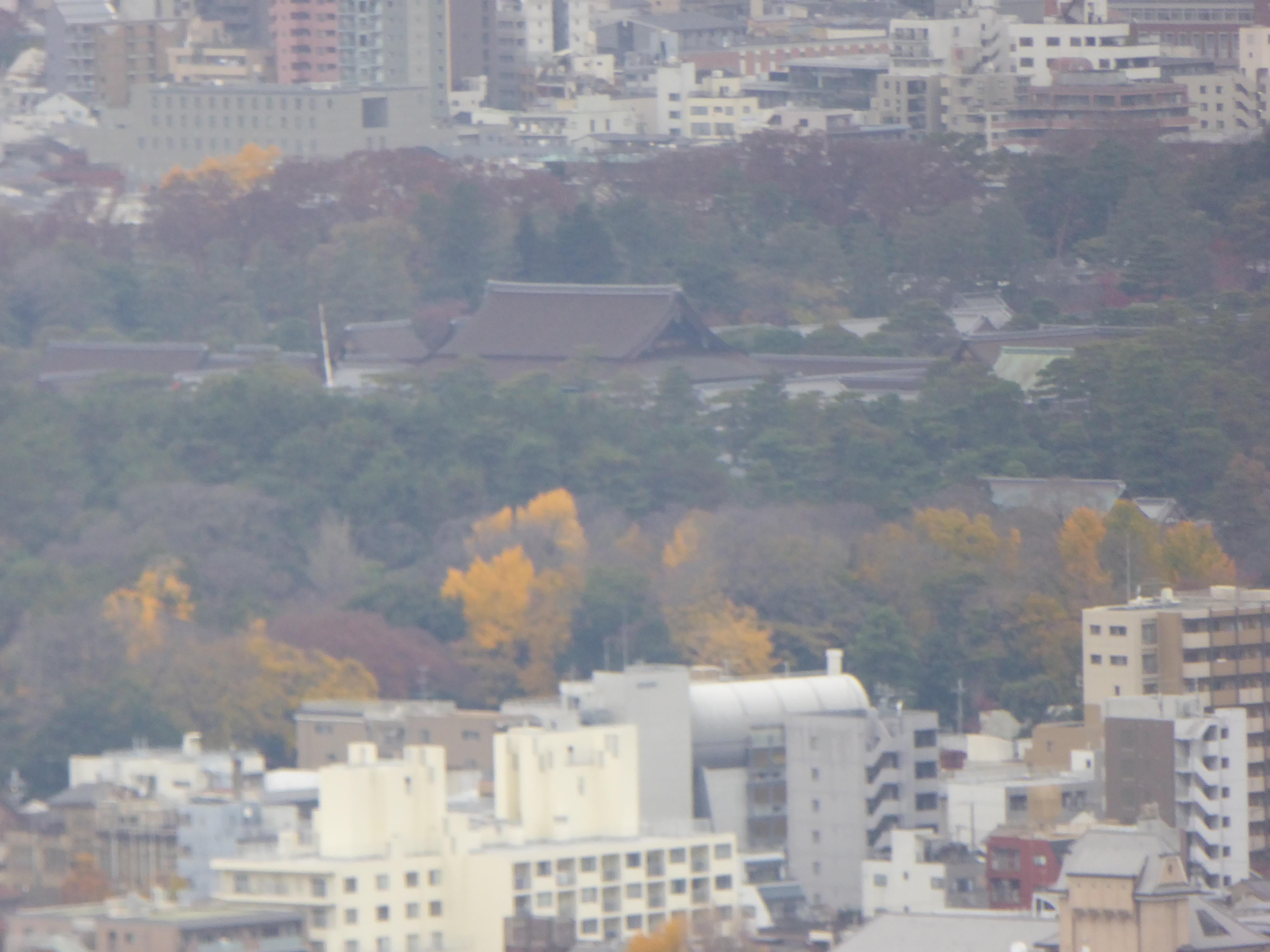 P1010250.JPG