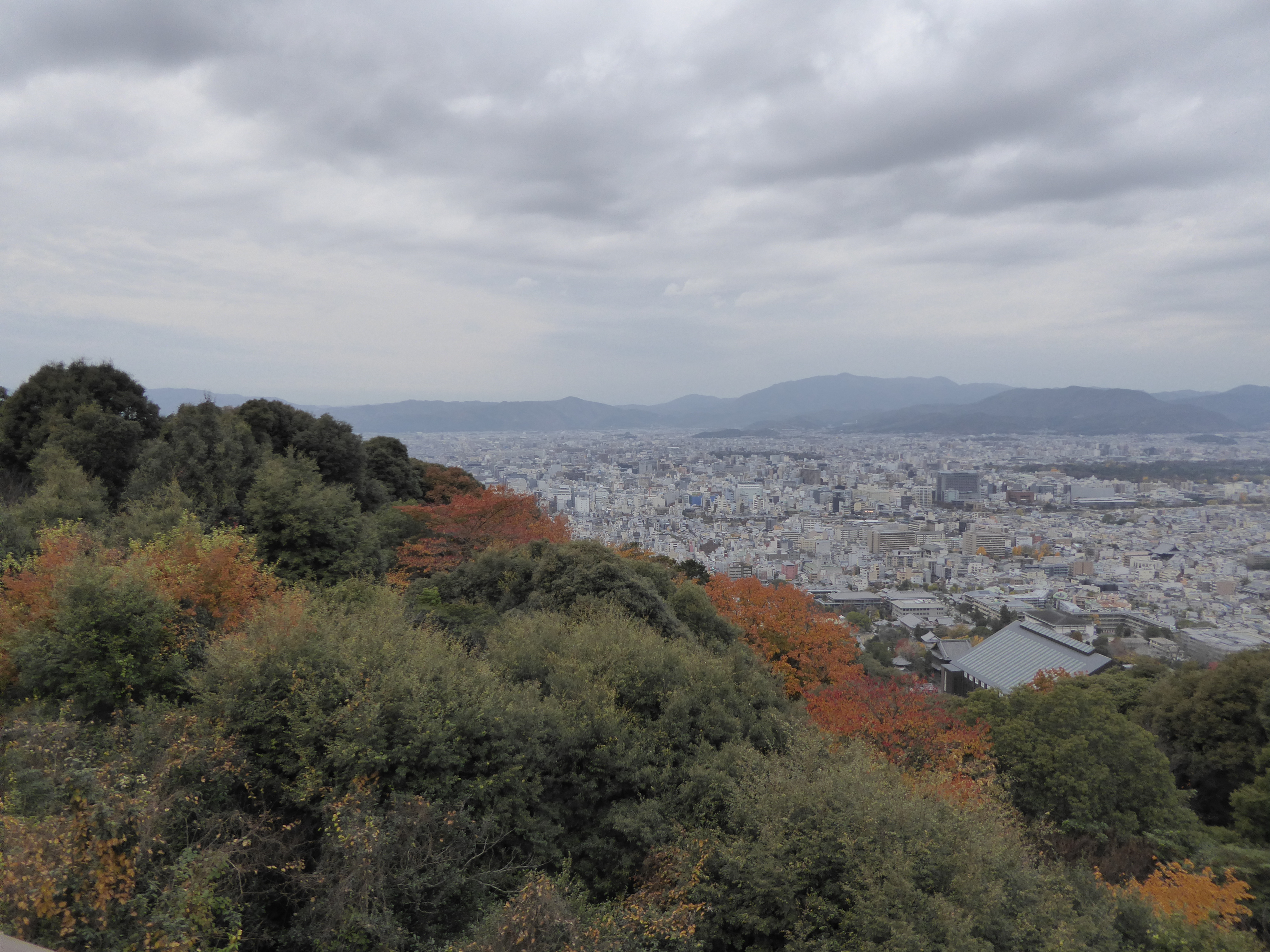 P1010251.JPG