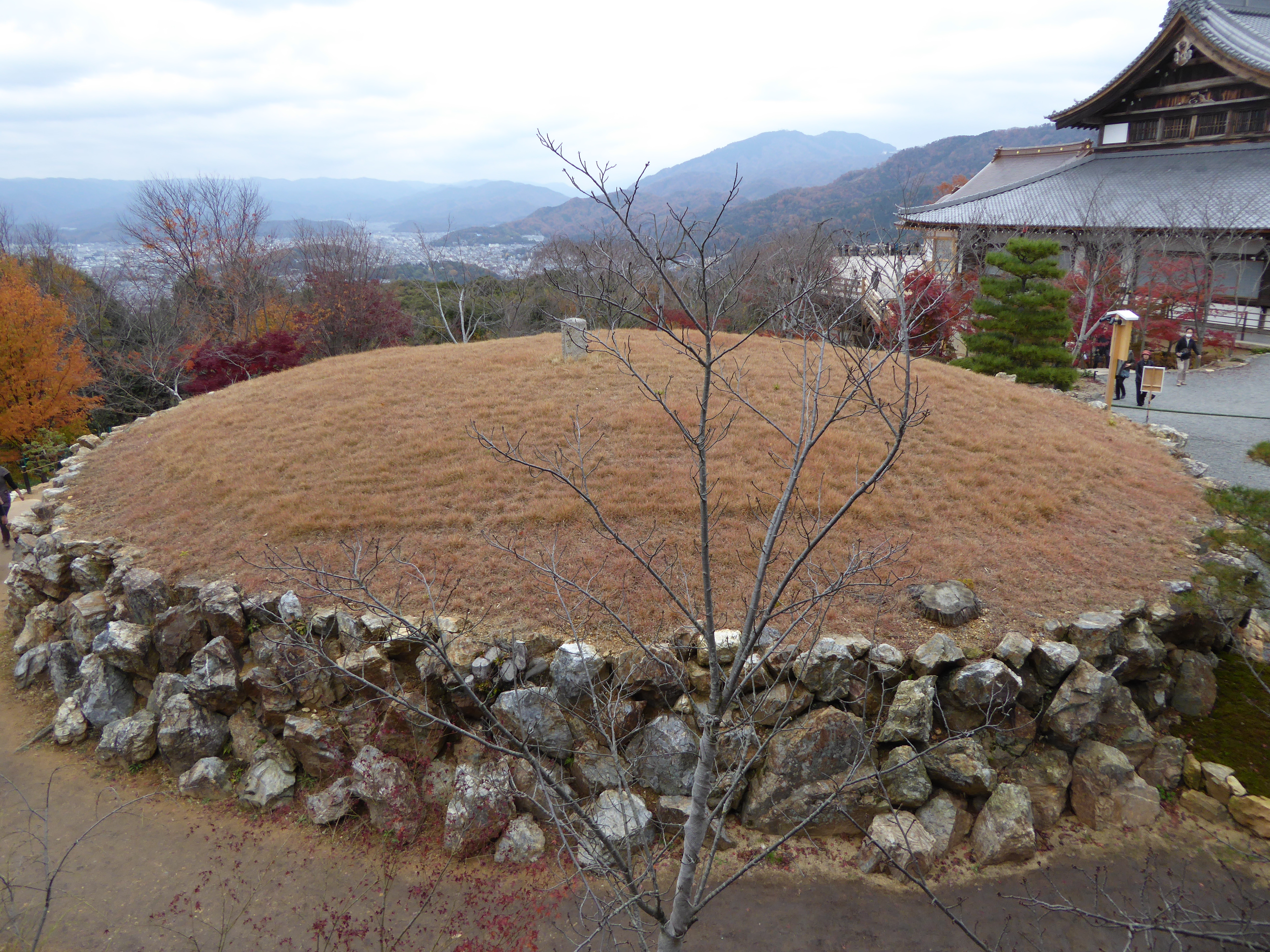 P1010255.JPG