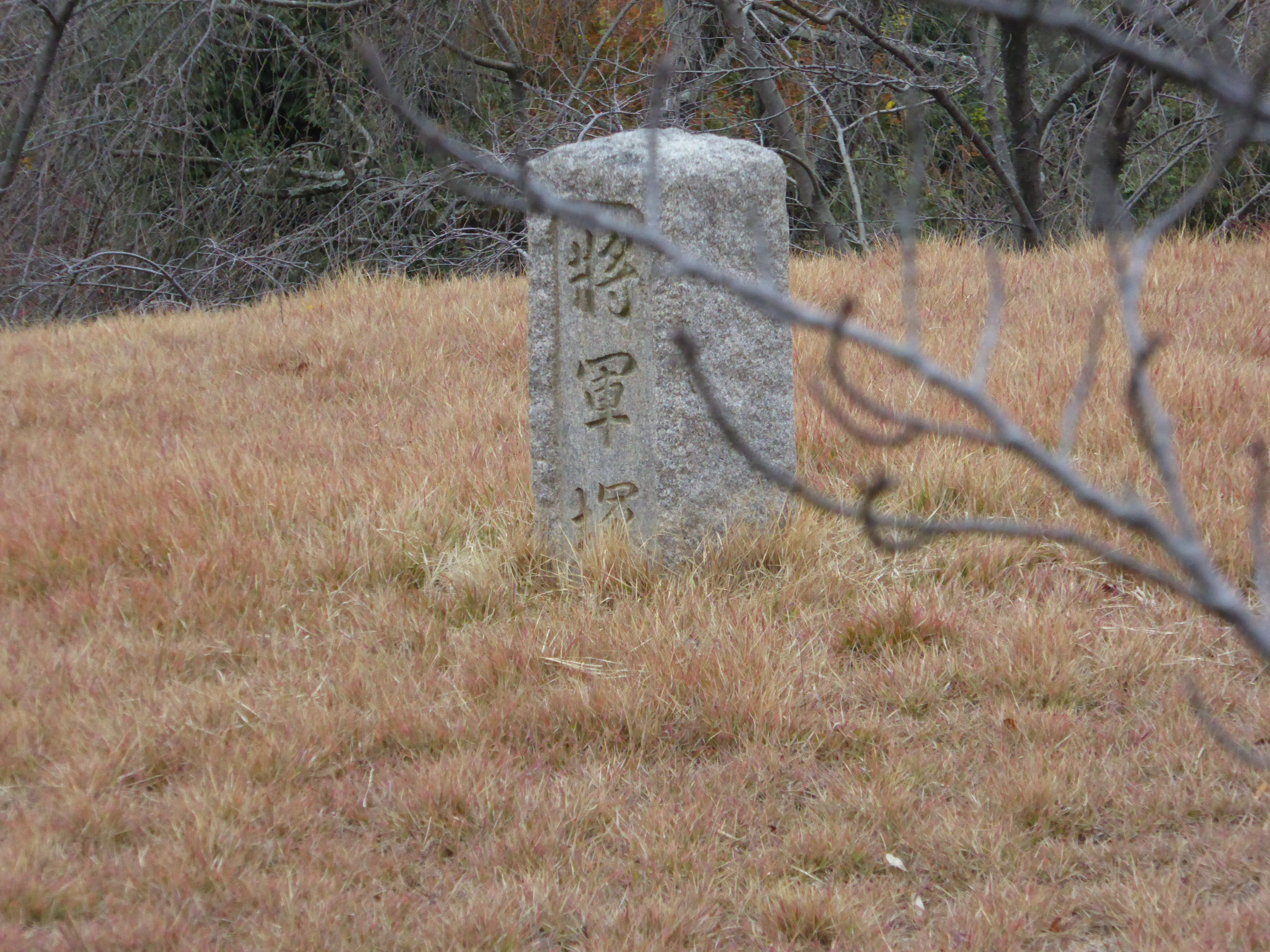 P1010256.JPG