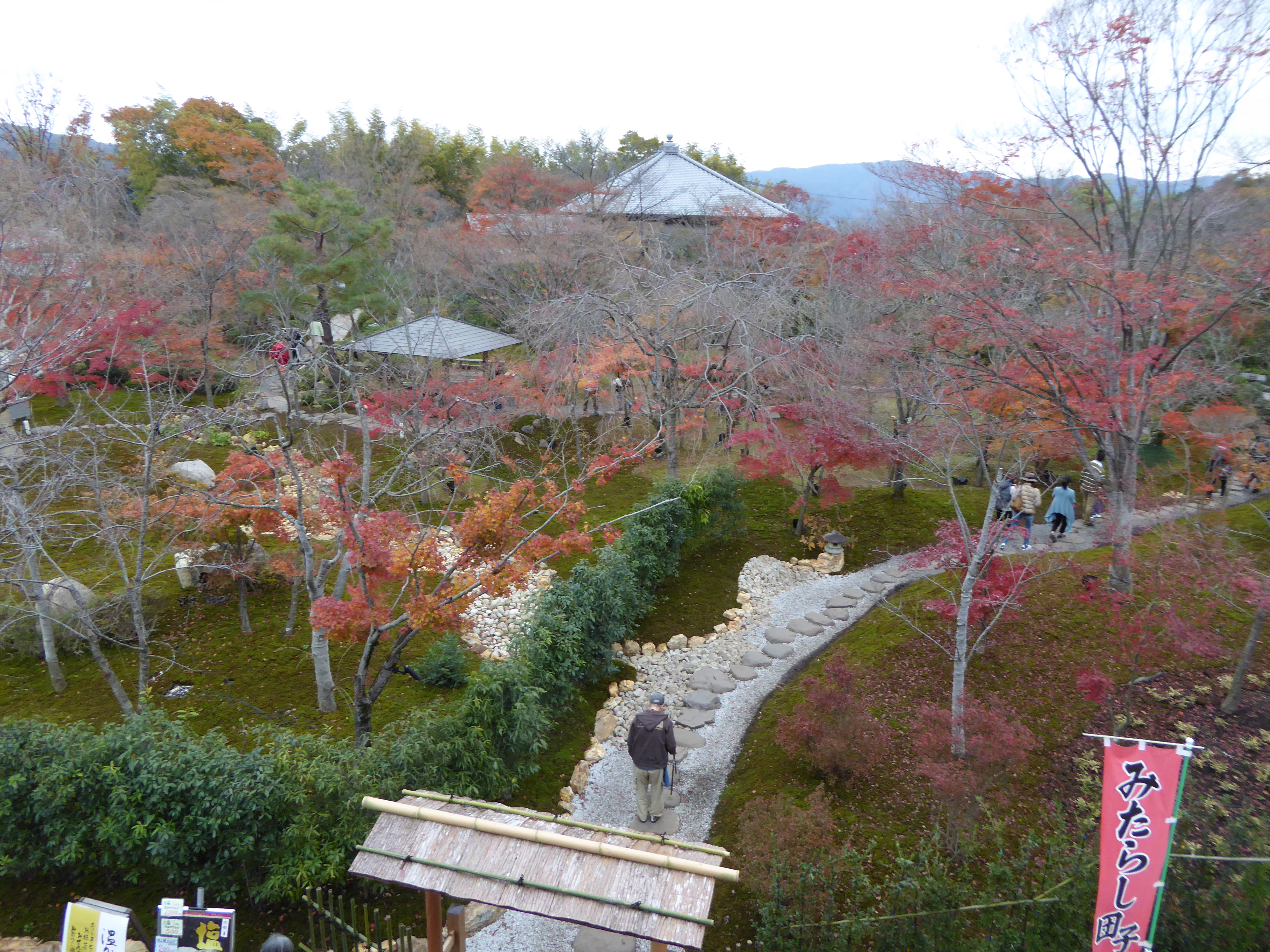 P1010257.JPG