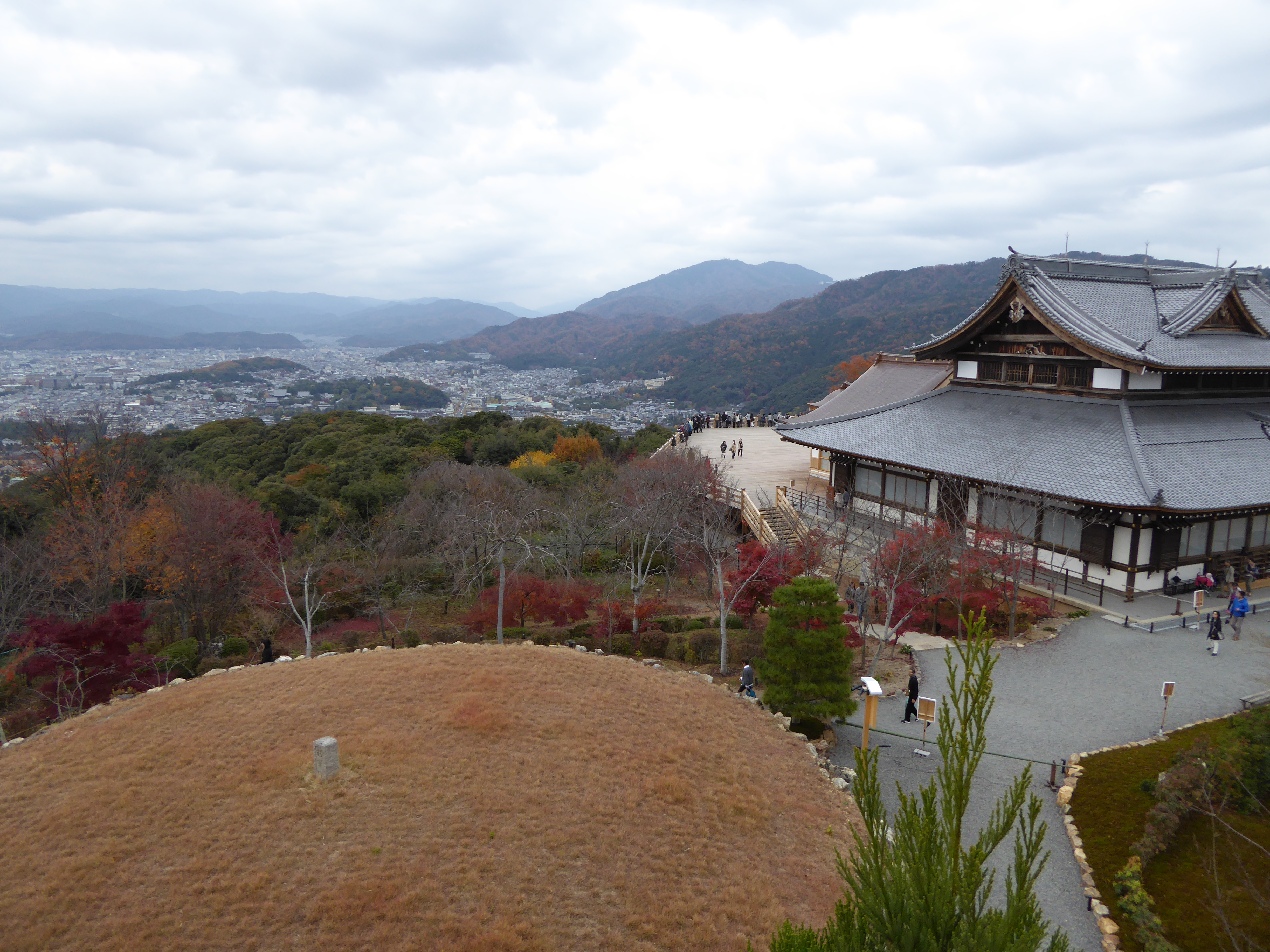 P1010260.JPG
